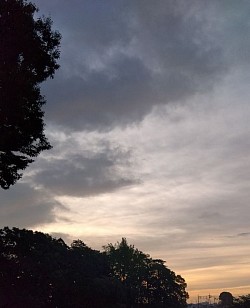 発達障がい者・ウォーキングコース・幻想的な空