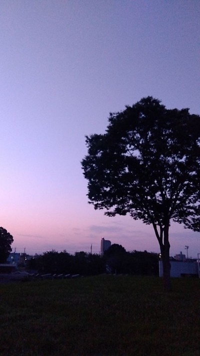 【古河市のtwilightの空・a.k.aだぁ君・氷の世界・伝わらなかったSOS】